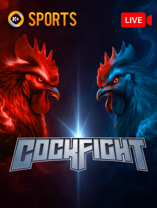 11WIN đá gà